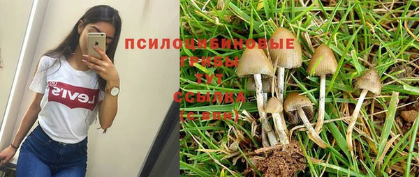 ECSTASY Александровское