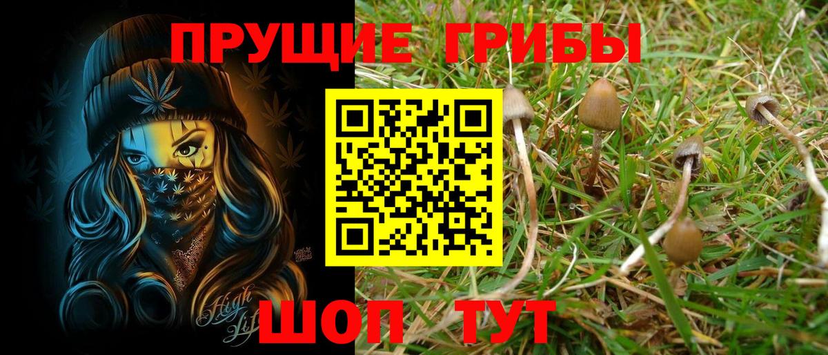 Псилоцибиновые грибы Magic Shrooms  дарнет шоп  Вход с VPN  Волжск  Псилоцибиновые грибы ЛСД 